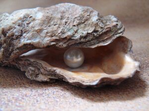 Oysters with a pearl inside