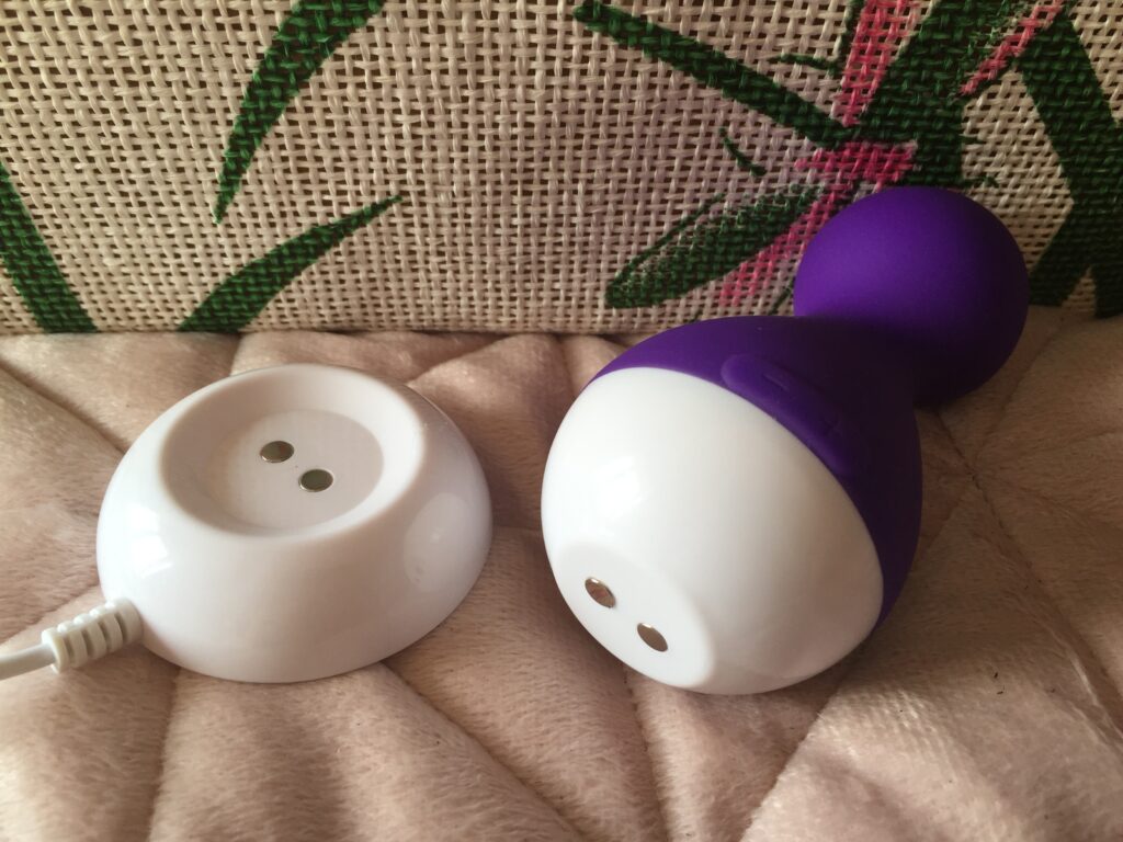 Cute Coco Vibrator and charger.