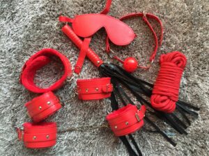 Cara Sutra Fantasy Bondage Kit Components.