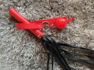 Cara Sutra Fantasy Bondage Kit Flogger and Gag.